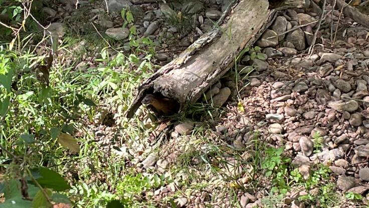 La Primera Llamada con Álex Dorado, consejero de Sostenibilidad y Transición Ecológica (29/09/2022)