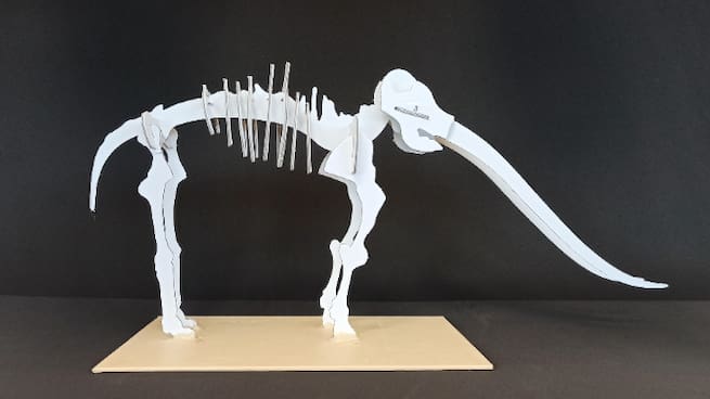 El Museo Provincial de Ciudad Real pone en marcha un puzzle 3D de su gran mastodonte