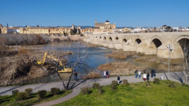 La Junta de Andalucía limpia la isla de las toallitas del Guadalquivir