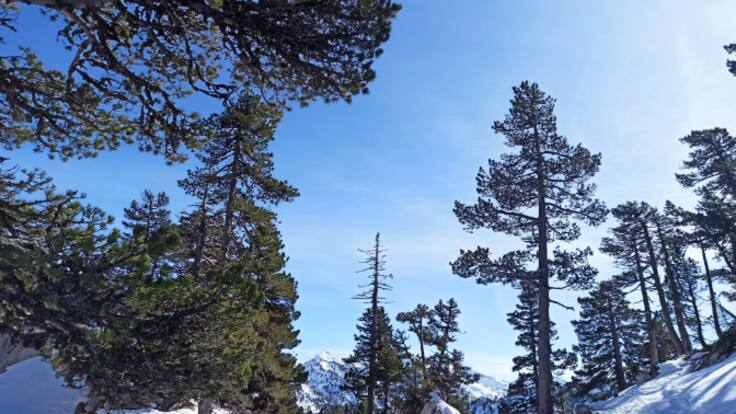 ¿Cómo se llevan las bajas temperaturas en el Pirineo Navarro?
