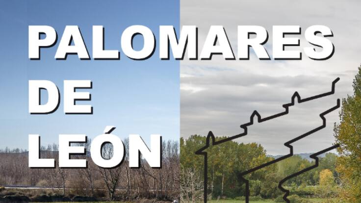 La conservación de los palomares leoneses, una batalla que se está ganando (02/10/2023)