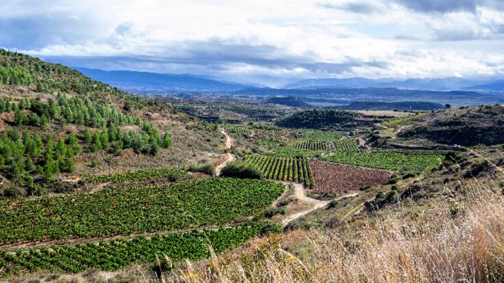 La Primera Llamada con el director de Medio Natural y Paisaje, José Ignacio Sáez de Urturi (03/10/2023)