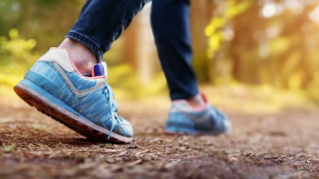 Entrevista a Sergio Bordera, matí senderista per a famílies a Fontanars