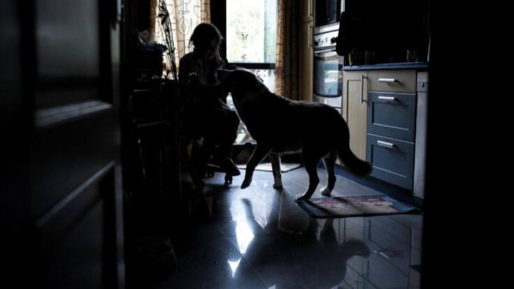 Consejos de limpieza para un hogar con mascotas