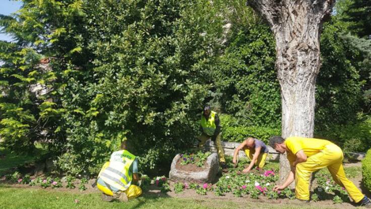 ¿Cómo trabajan las empresas de inserción laboral en Navarra?