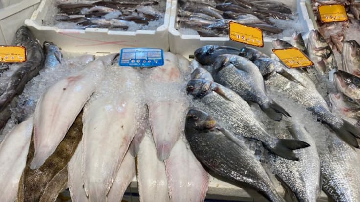 Los atunes y el alga invasora están acabando con voraces, gallinetas o jureles