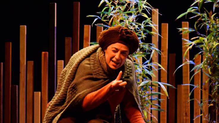 Dolo Martí: "La tortuga de Darwin ha tingut una gran acceptació entre el públic" (27/10/2023)