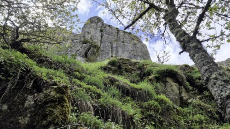 El mamut rocoso de Oceja de Valdellorma (30/10/2023)