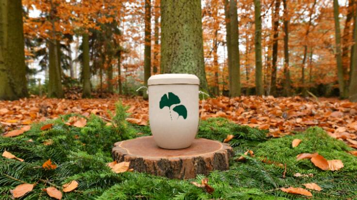 El cementerio de Deva albergará un nuevo espacio de 8.000m2 para las cenizas