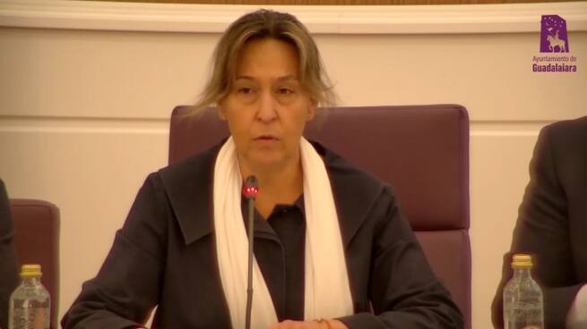 Ana Guarinos, pleno amnistía