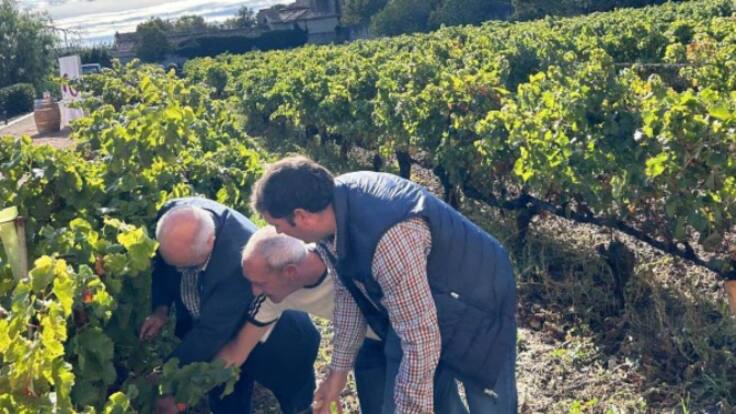 La primera llamada del día con David Palacios, presidente de la D.O. Navarra