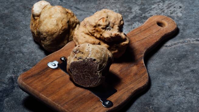 Entrevista a Loreto Palafox sobre la trufa