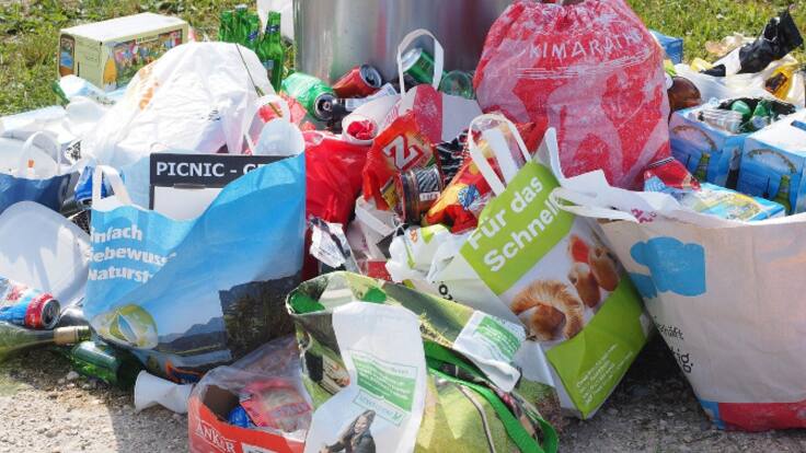 Navarra se suma a lucha contra el desperdicio alimentario: "Demasiado bueno para tirarlo. Me lo llevo”