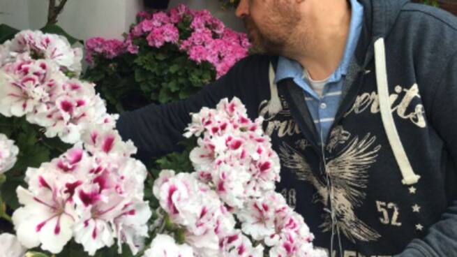 Ya es Navidad en los Patios de Córdoba.