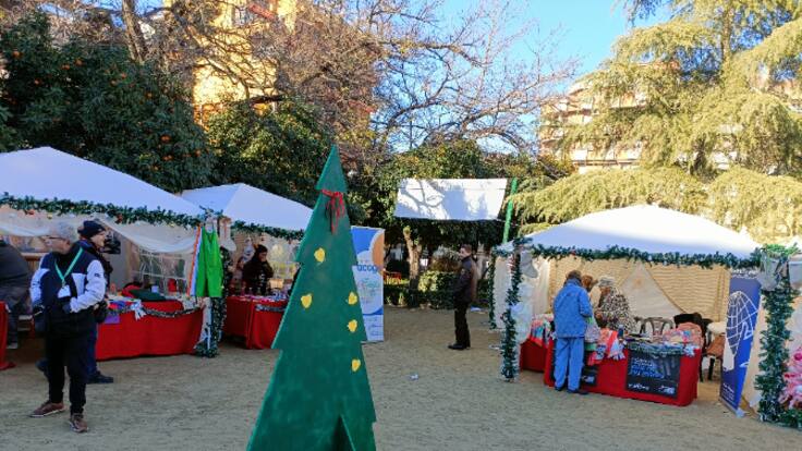 Mercadillo solidario de Linares