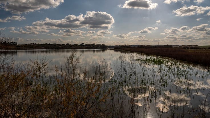 Jaraíz (30/12/2023)