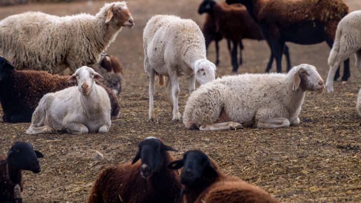 Entrevista La Ventana CV (08/02/2023) - Carles Peris