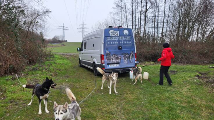 El musher navarro Baltasar Gallardo, camino de la carrera más larga del mundo