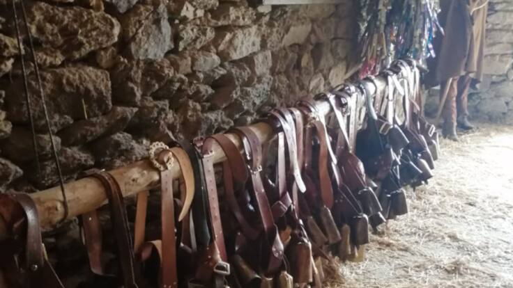 Villanueva de Valrojo: el Carnaval sin rostro