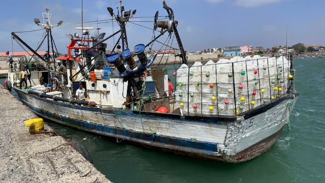 Concluye con éxito la cooperación Canarias-Cabo verde para pesca del camarón soldado
