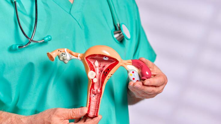 Entrevista a María José Puente, Jefa de Servicio de Obstetricia y Ginecología