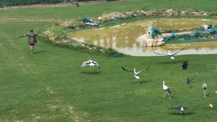 Entrevista a Luis Lezana, director de Tierra Rapaz