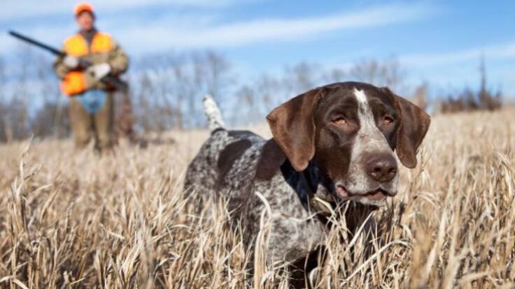 Movilizaciones del sector de caza en La Rioja (26/03/2023)