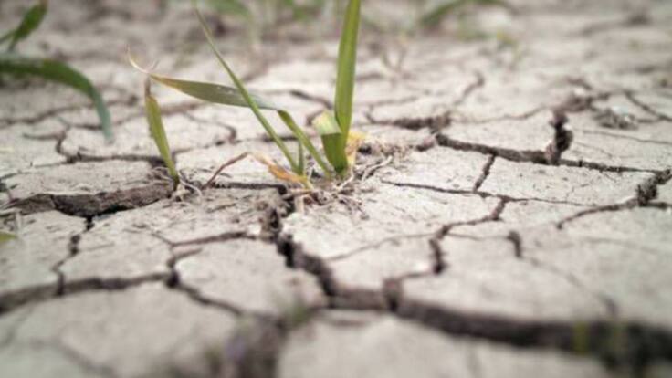 ¿Va a ser la sequía un problema en verano? "No hay agua ni para todo, ni para todos"