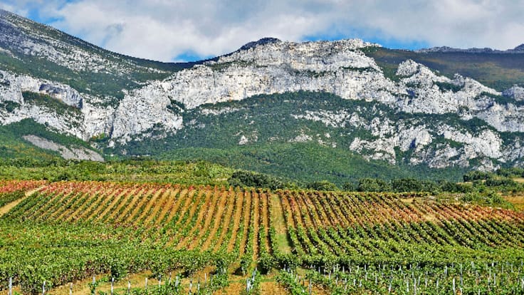 Entrevista con la consejera de Agricultura, Eva Hita (14/03/2023)