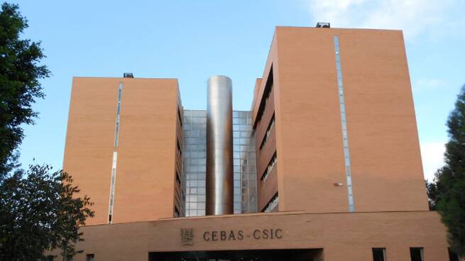 "La mayoría hemos dicho que no": universidades saudíes ofrecieron hasta 70.000 euros anuales a investigadores del CEBAS en Murcia