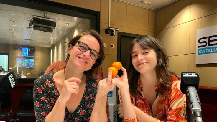 La punta de l'iceberg