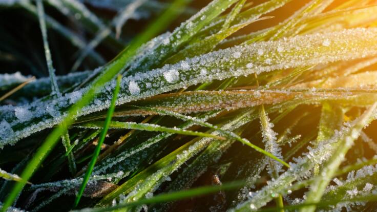 Meteorología Leonesa: Viene el frío, la sequía se queda (09/05/2023)