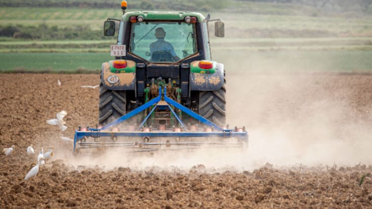 Agricultores de la provincia de Toledo lanza un S.O.S: "no vamos a ganar un duro"