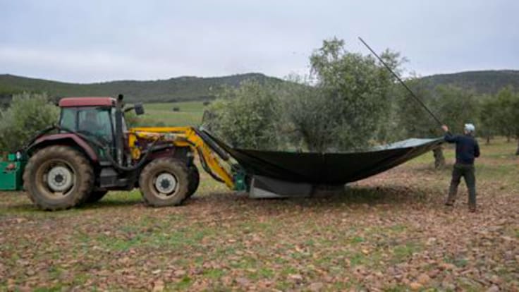 Reportaje | El campo español se queda sin relevo generacional