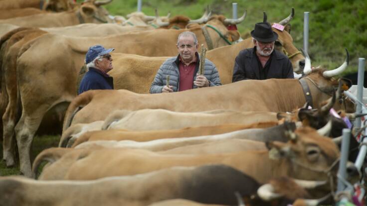 Mesa de la sequía, Mesa de agricultura y cambio climático
