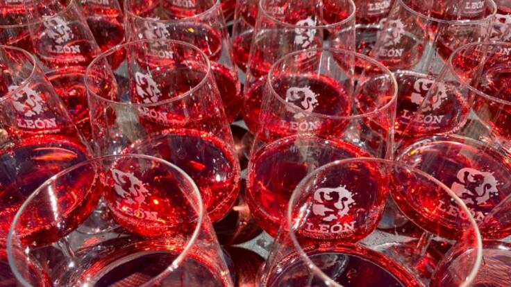 Vinos DO León: trabajar por la excelencia (19/05/2023)
