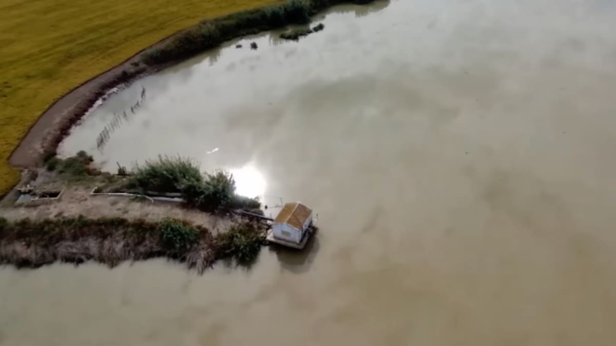 Entrevista con Eduardo Vera, gerente de la Federación de Arroceros de Sevilla