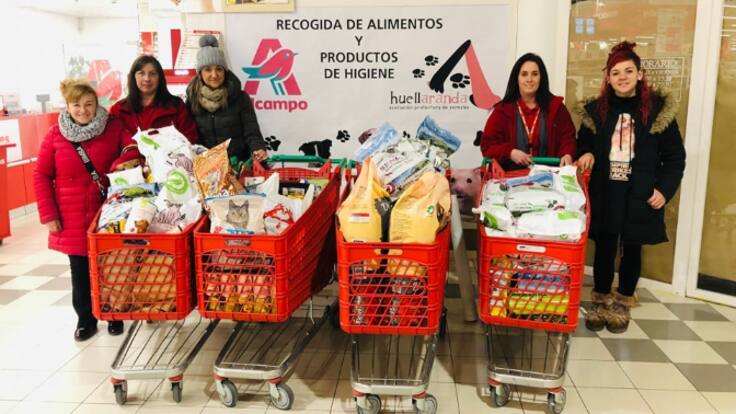 Huellaranda cumple 10 años ayudando a los animales más desfavorecidos