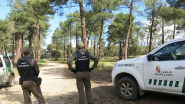 Un dispositivo antiincendios a la mitad, según APAMCyL