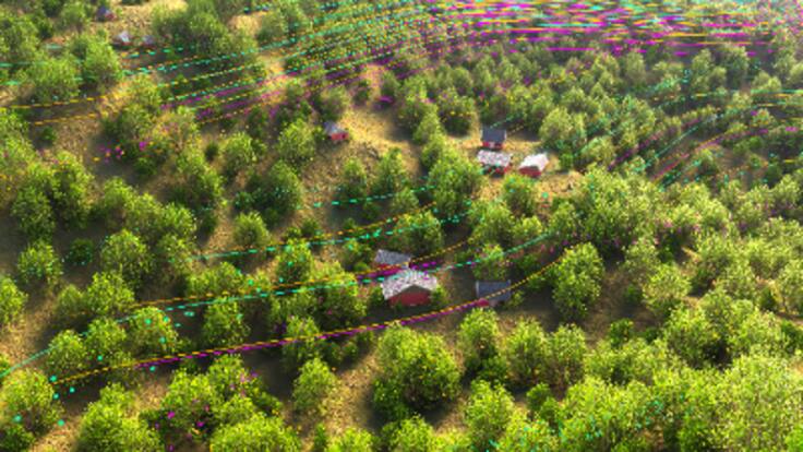 "Queremos que sean las propias personas, esas personas mayores, las que vayan guardando ese tesoro"