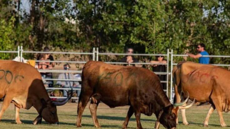 La Otra Cara del Deporte Leonés: Caca de premio, no premio de caca (28/06/2023)