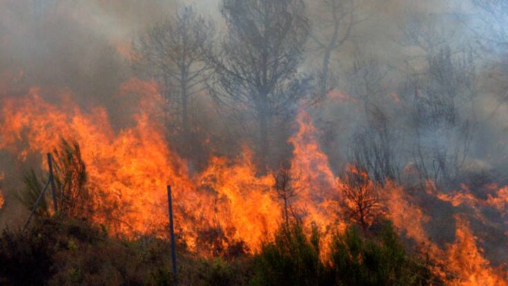 "Estas partículas son muy pequeñas y pueden entrar con mucha facilidad a nuestro sistema respiratorio"