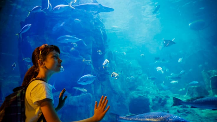 El Acuario mostrará este verano sus zonas prohibidas al público a través de visitas guiadas
