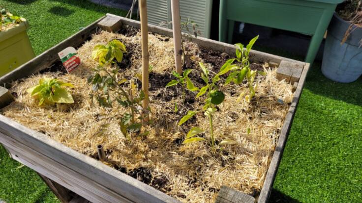 La SER te lleva al huerto: Sobrevivir a la granizada.