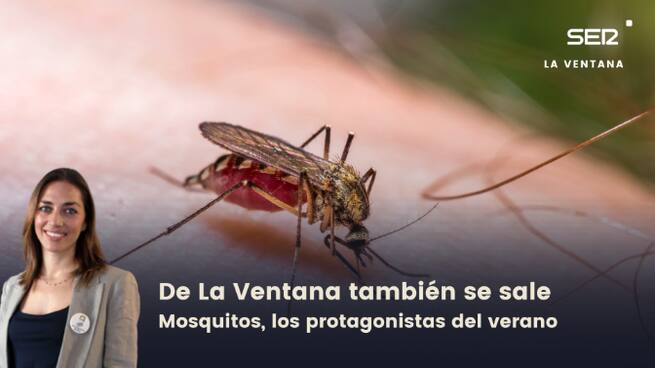 De La Ventana también se sale | Mosquitos, los protagonistas del verano
