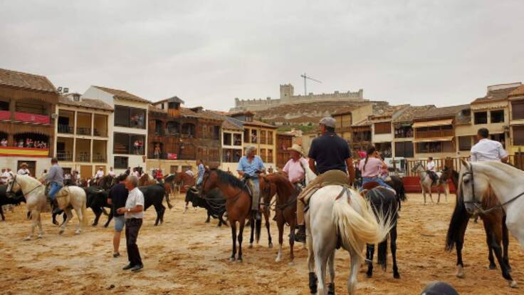 Jesús Gómez, uno de los caballistas que participarán en el acto de la trashumancia este domingo repasa la experiencia previa en Hoy por Hoy Peñafiel