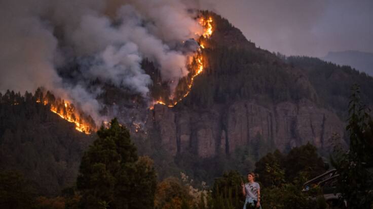 “Hemos visto cosas que no se habían visto en ningún incendio en Canarias”: las llamas ya arrasan más de 3.000 hectáreas en Tenerife