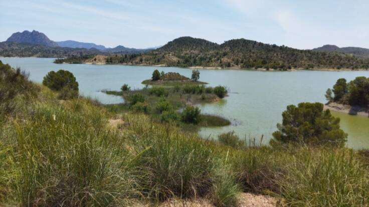 El presidente de la CHS Mario Urrea garantiza el suministro de agua hasta el 30 de septiembre