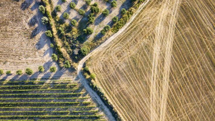Felipe Andreo, presidente de la Comunidad de Regantes de Totana
