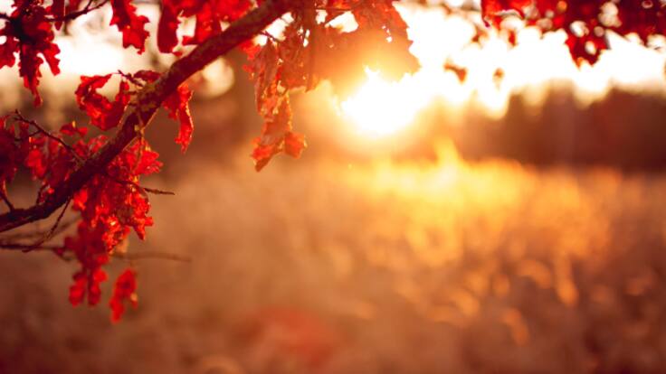 Las intensas lluvias y el veranillo de San Miguel (19/09/2023)